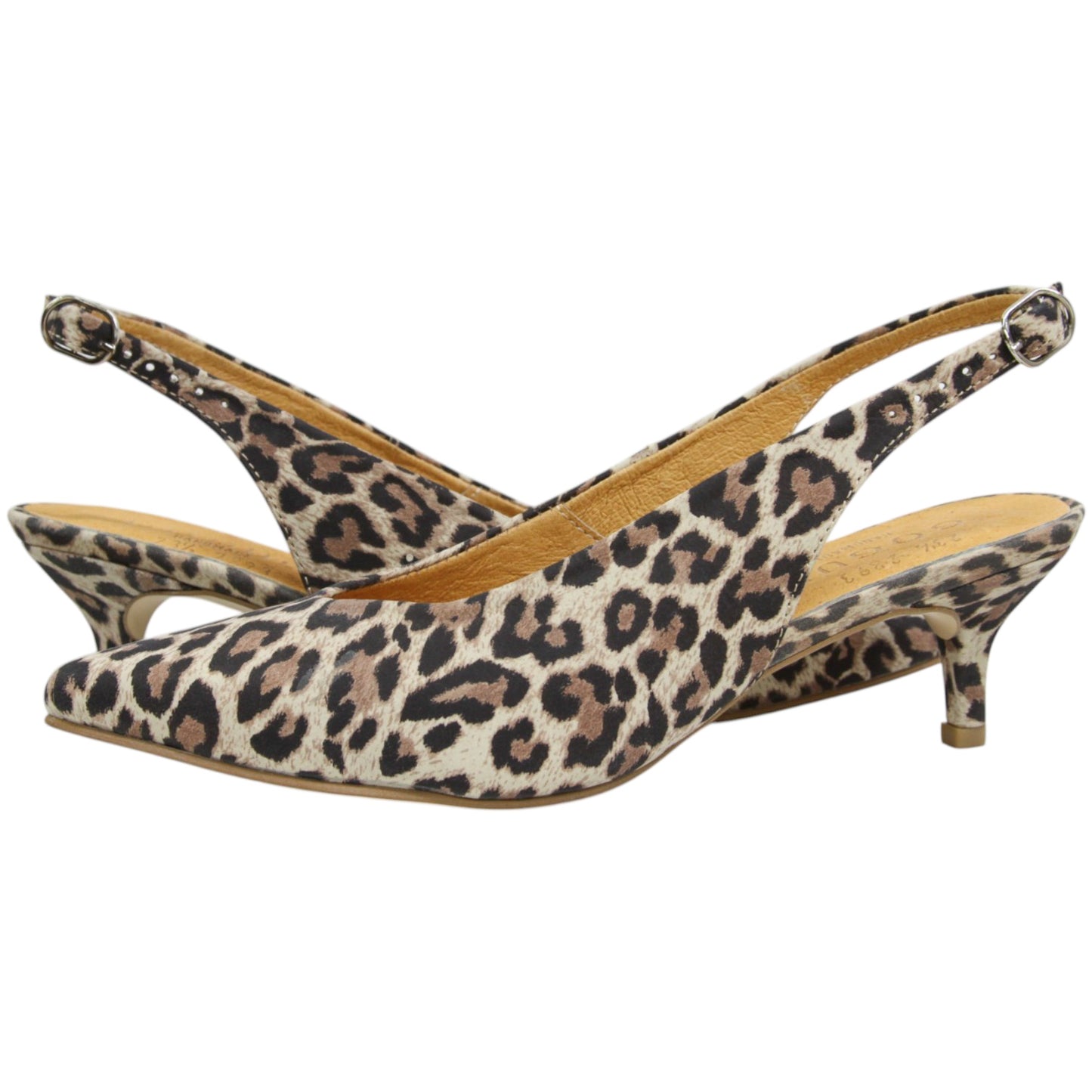 BRUNI LEOPARDO