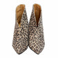 TAYENA LEOPARDO